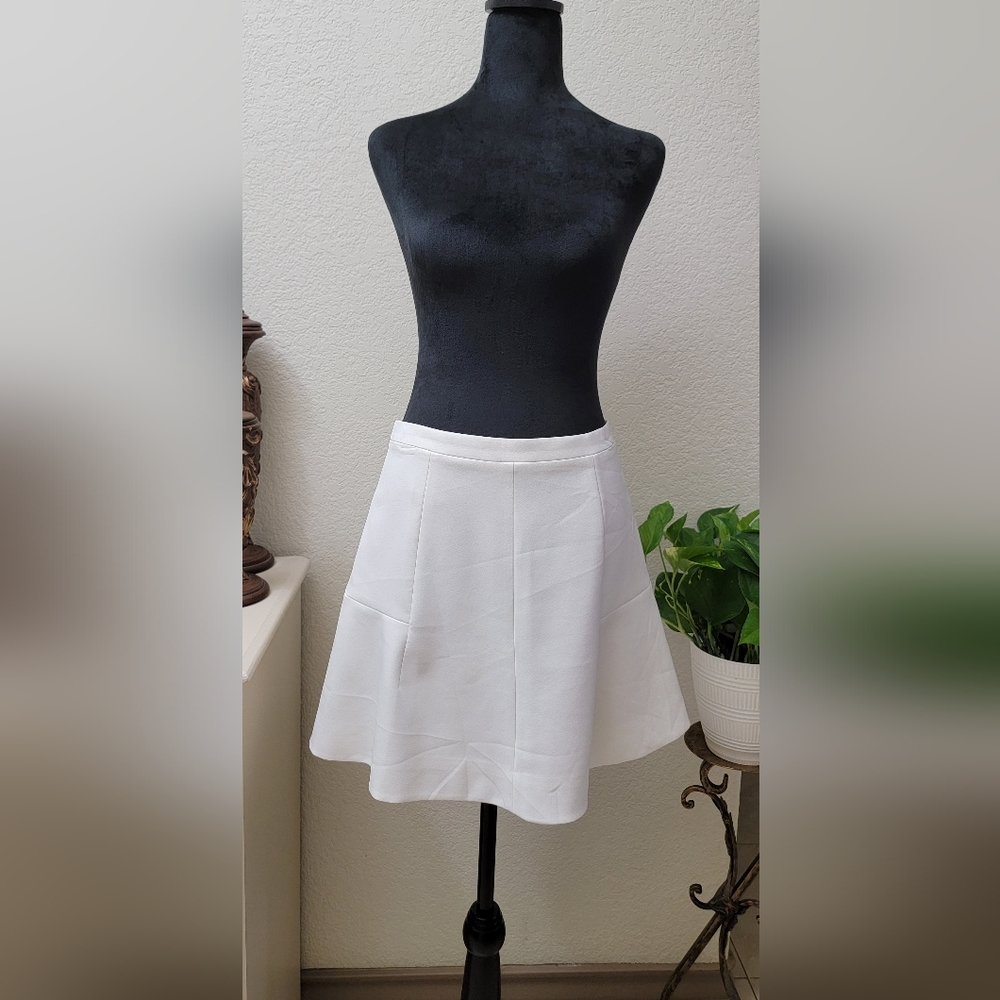J crew skirt